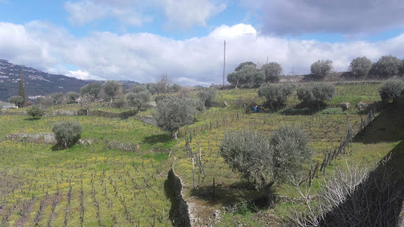 Peso Da Regua
