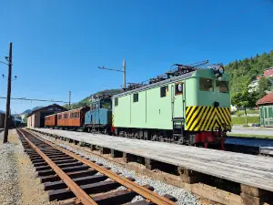 Thamshavnbanen