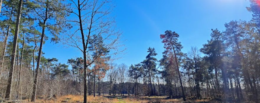 Kempens Landschap - Zwartgoorheide