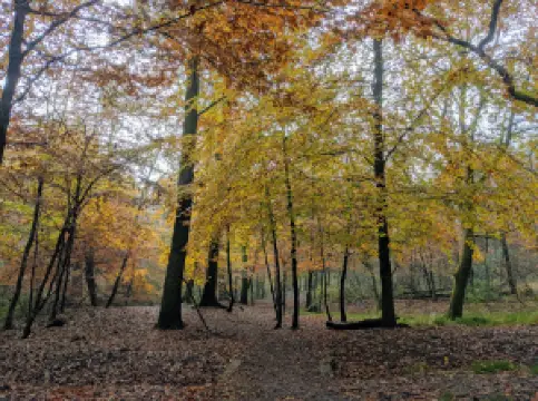Duxbury Park Golf Course