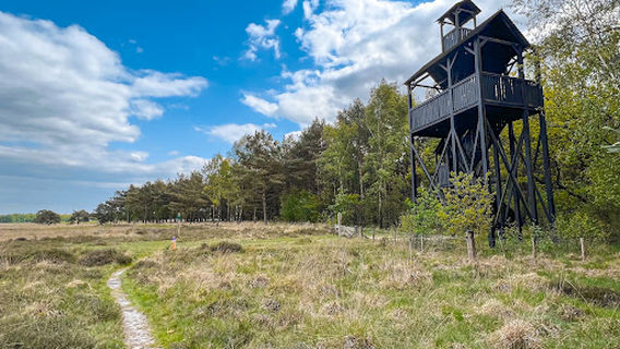 Uitkijktoren Doldersummerveld