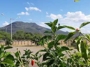 Parque De Exposição Valdir Barreto