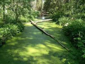 Kärde - Endla matkarada