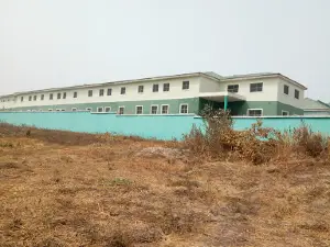 Pategi Central Mosque