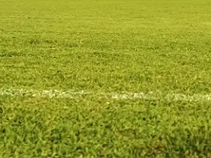 Soccer Stadium Joacyr Fonseca