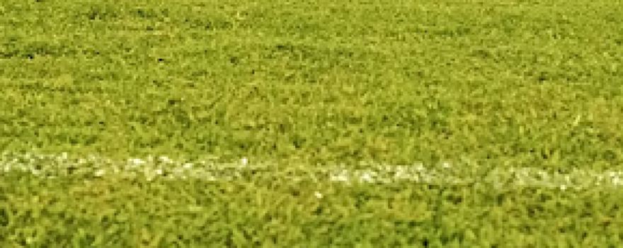 Soccer Stadium Joacyr Fonseca