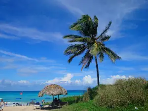 Playa del Este