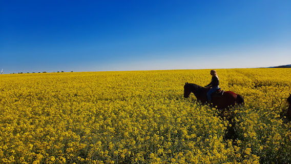 River Ranch