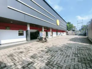 아누레그 시네마스 4K 3D