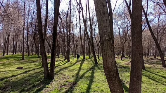 Kara-Jygach Park