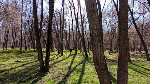 Bishkek