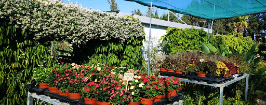 Floralink Garden Centre (Zygi)