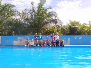 tranquil swimming pool