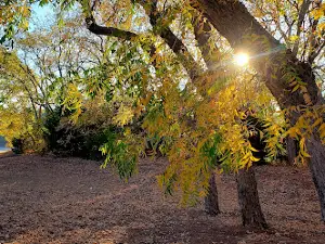 River Road Campground