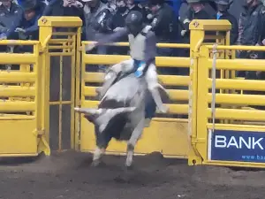 North Dakota Winter Show