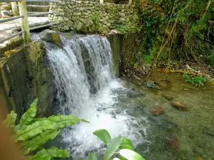 Hurom-Hurom Cold Spring Resort