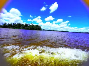 Rio Japiim Grande