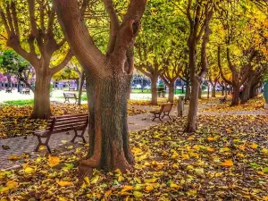 Cumhuriyet Parkı