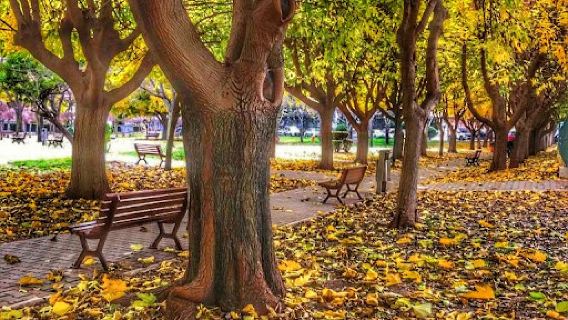 Cumhuriyet Parkı