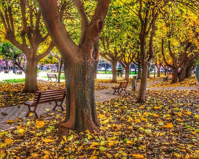 Cumhuriyet Parkı