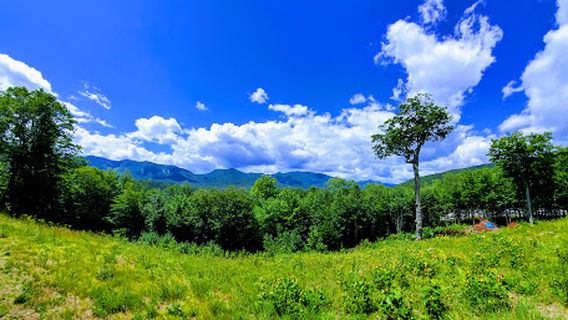 Hancock Notch Trailhead