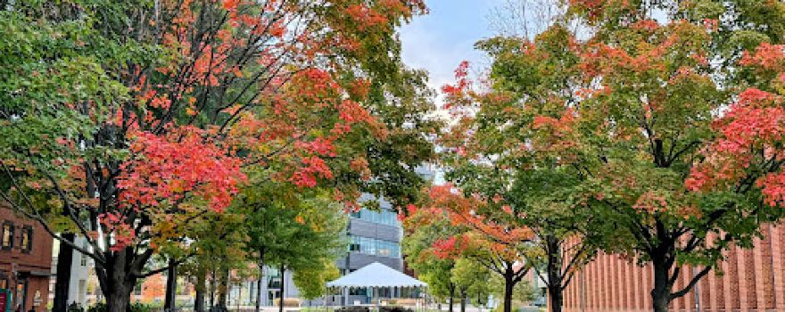 George Mason University