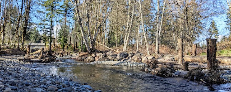 Chico Salmon Viewing Park