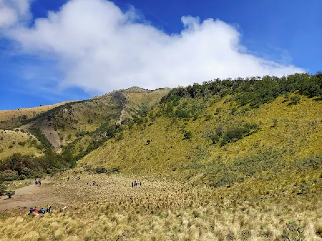 gunung merbabu photo