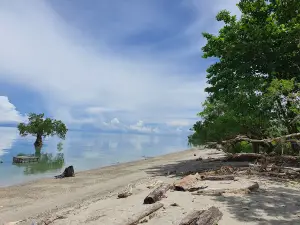 Pantai Majang