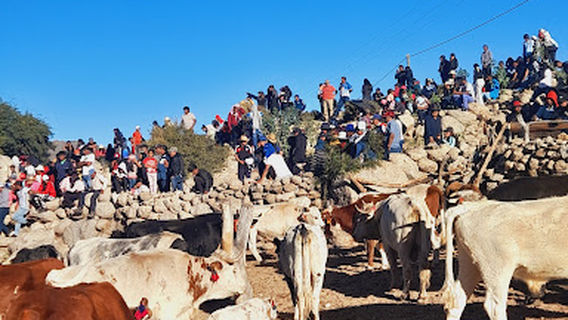 Paraje Cabreria