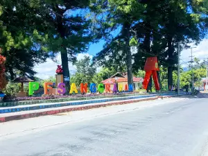 Taman Segita Pinus Pesanggrahan Manipi