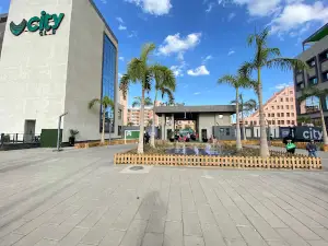 City Club Shebin El-kom