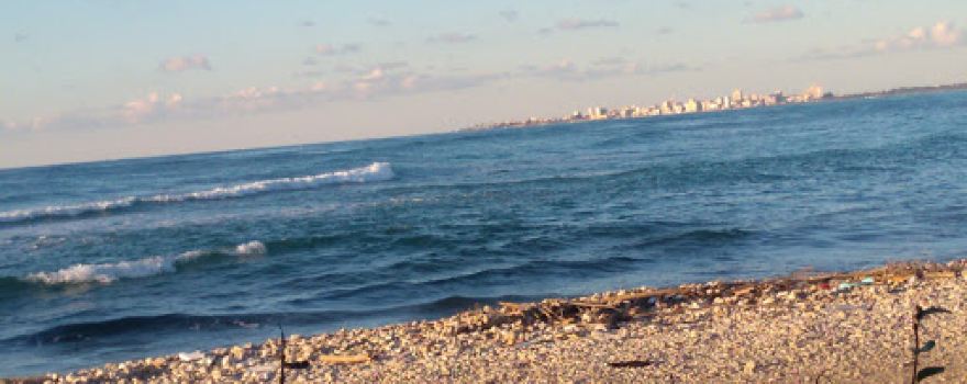 Relax Palace 03625041