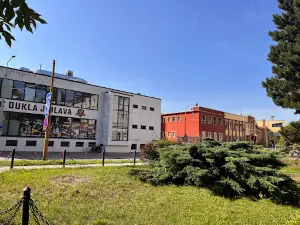 Horácký zimní stadion