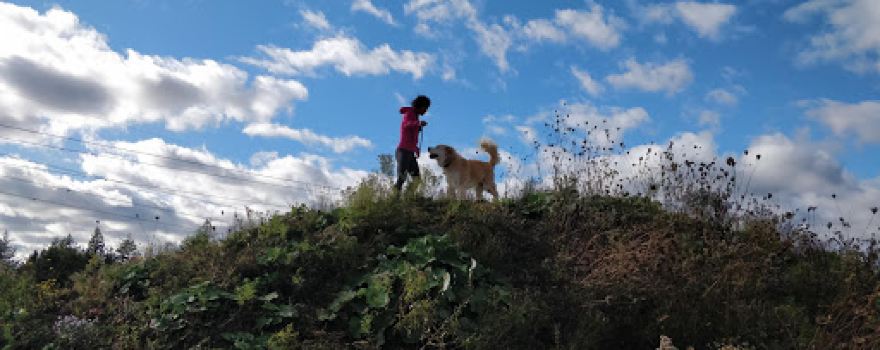 White Hill Park Trail