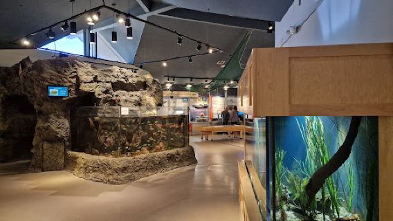 Hatfield Marine Science Visitor Center