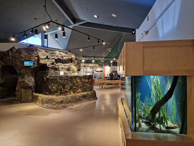 Hatfield Marine Science Visitor Center