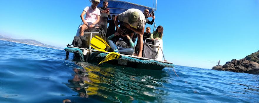DIVING SERVICE M'DIQ