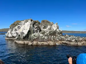 Láki Tours