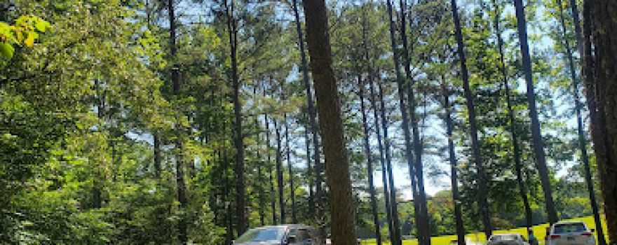 Gene Record Memorial Park