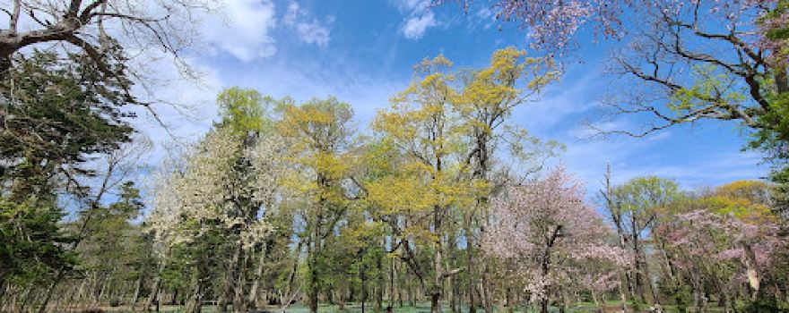 Ikoinomori Park