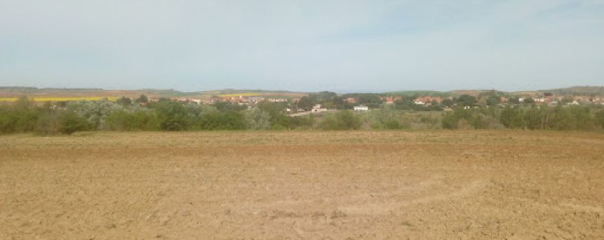 Campo Municipal David Molina