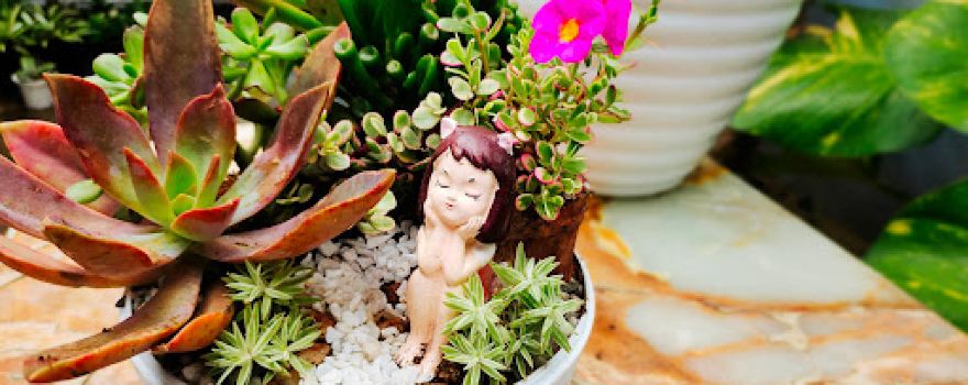 Hermie Sonajo-Mini Dino Park & Eco Garden