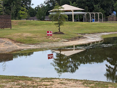 Jackson Community Park