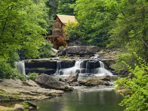 New River Gorge National Park & Preserve