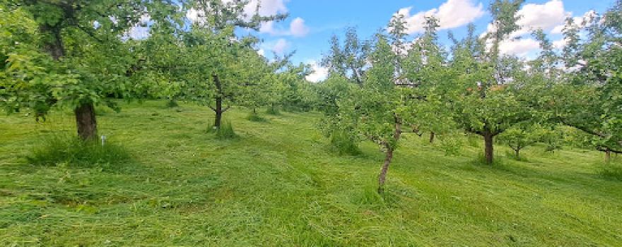 Kreisobstlehrgarten