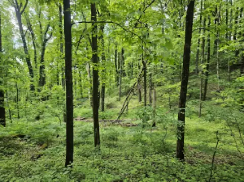 Devil’s Den Nature Preserve