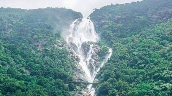 Nildiya Pokuna Ella