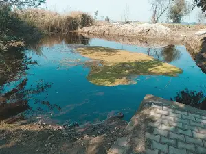 Draupadi Ghat Mandir