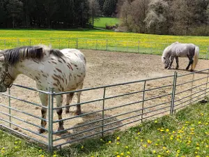 Erlebnisfarm Bräunertshof